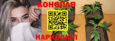 MDMA Premium VHQ Камышлов