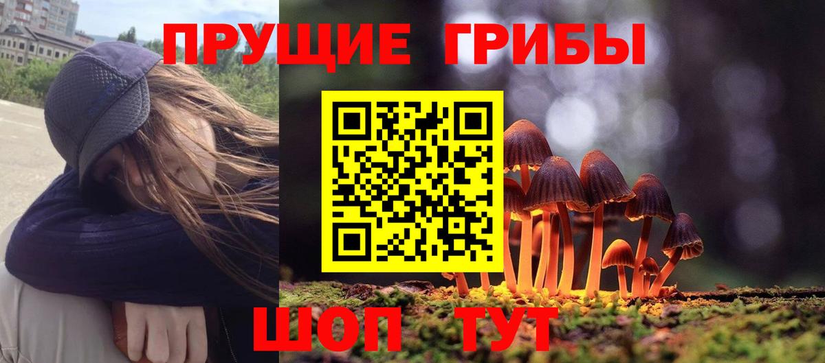 Псилоцибиновые грибы Psilocybine cubensis Уварово