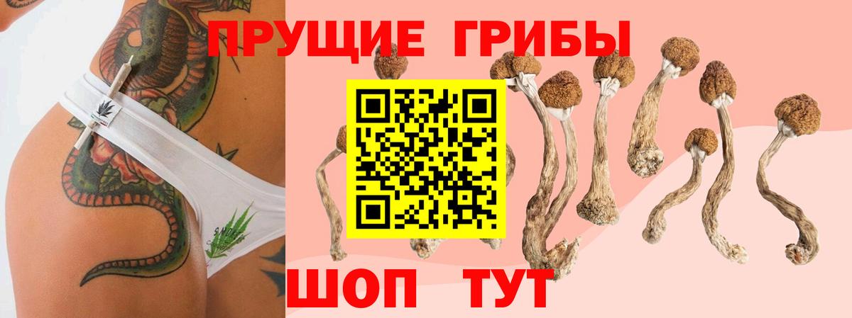 Псилоцибиновые грибы Cubensis  Вход с VPN  купить наркотики сайты  Уварово 